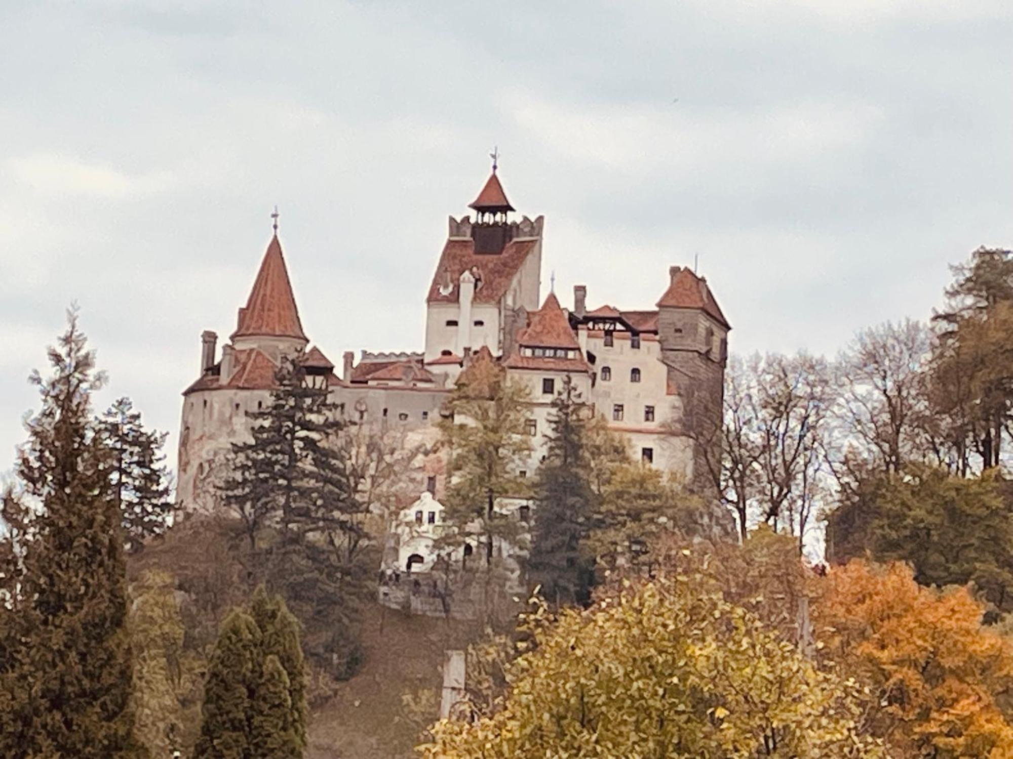 Вілла Casa Dudu Моєчу-де-Жос Екстер'єр фото