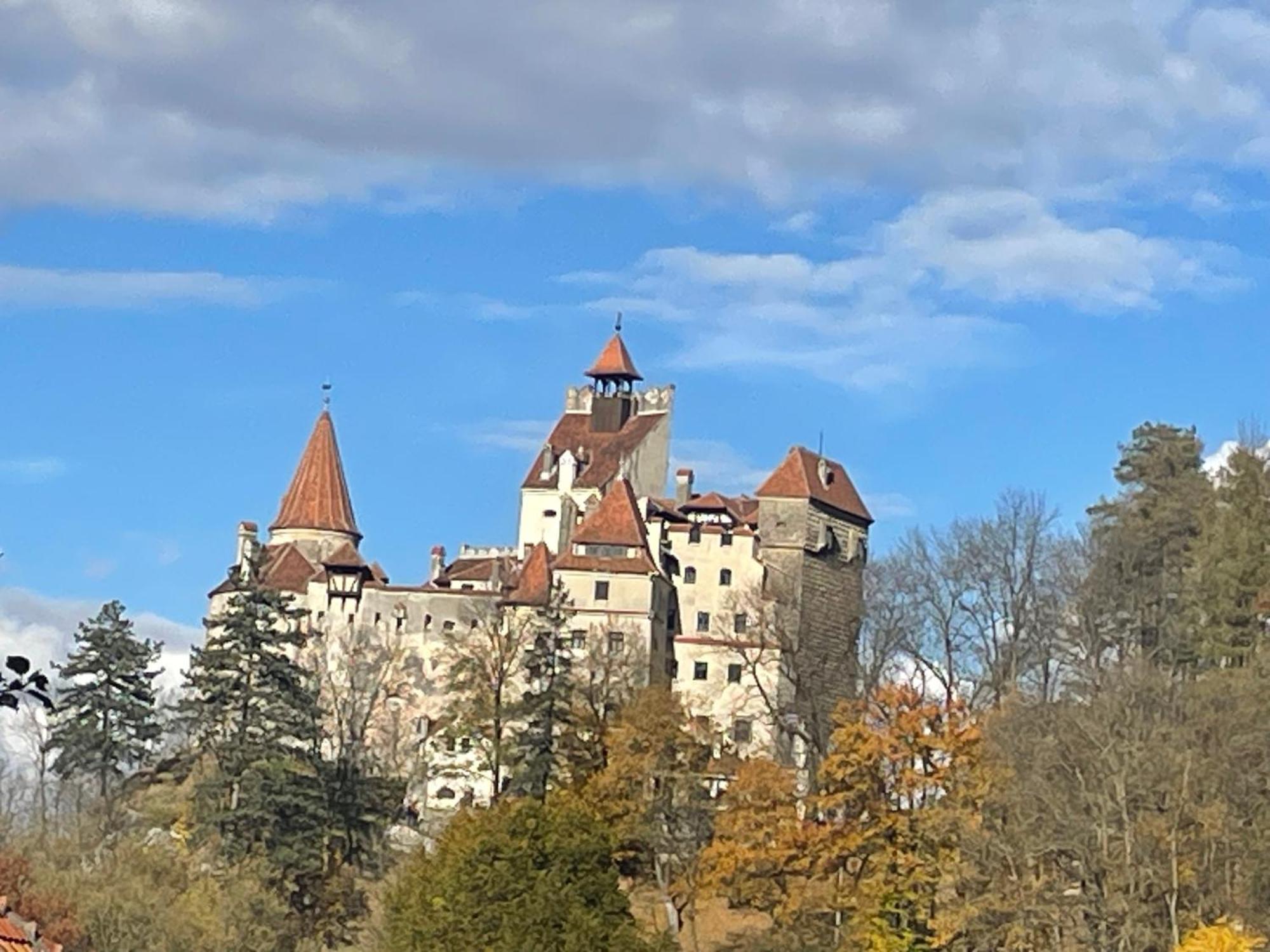 Вілла Casa Dudu Моєчу-де-Жос Екстер'єр фото
